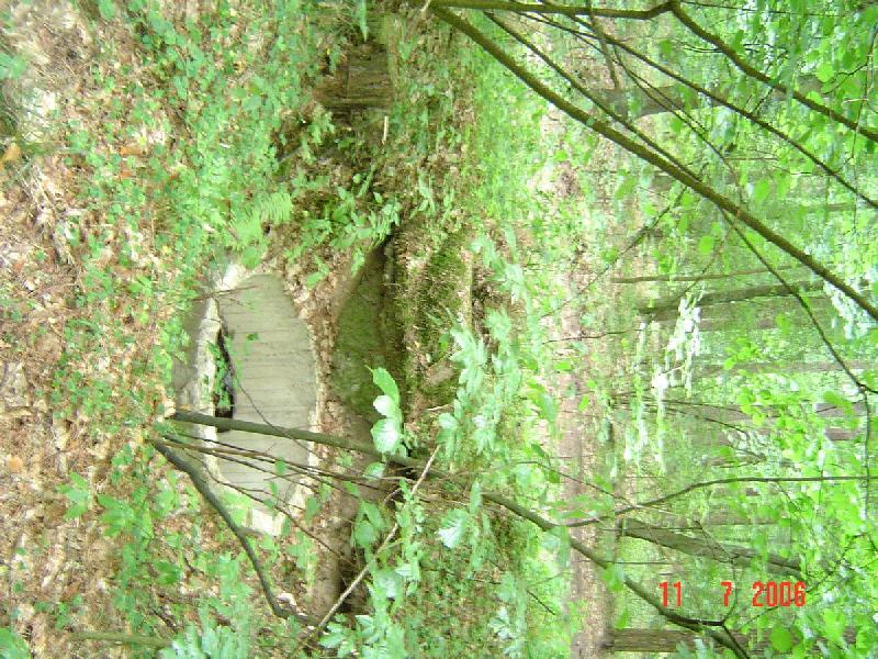 dsc01603