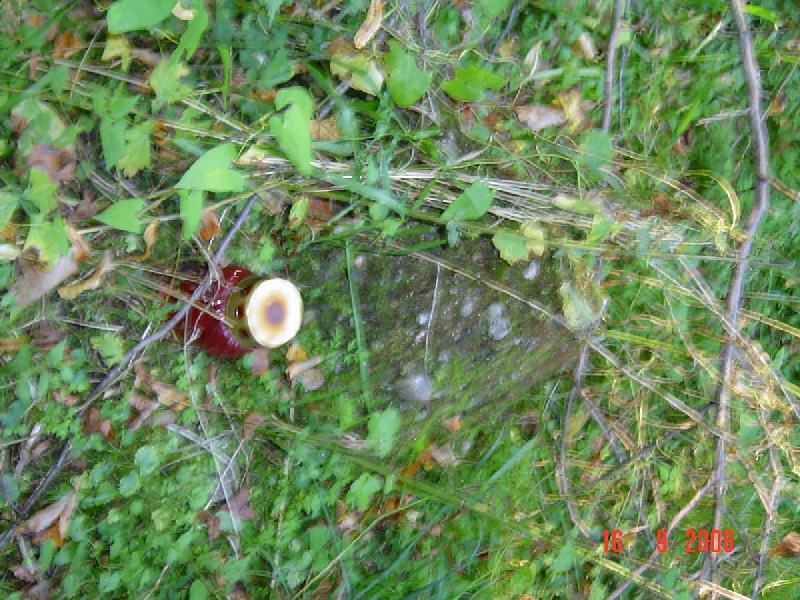 dsc01907