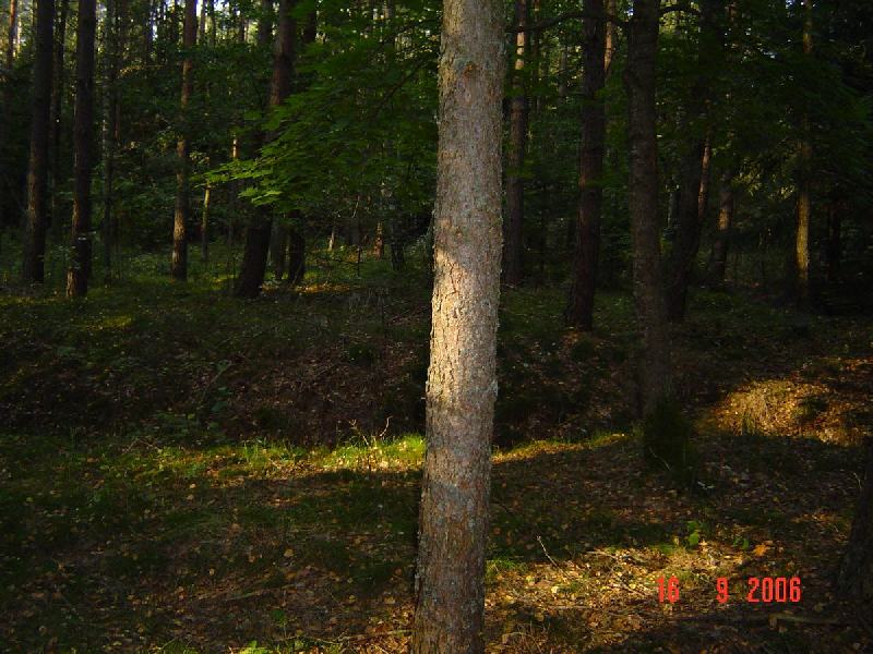 dsc01912