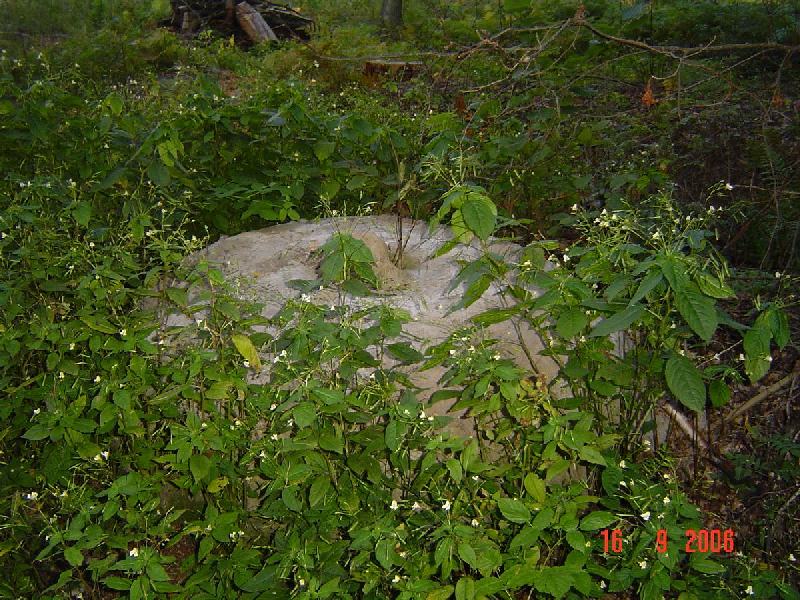 dsc01917
