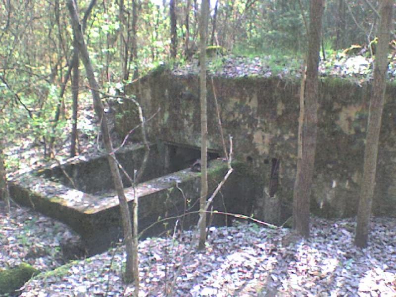 135843dsc00400