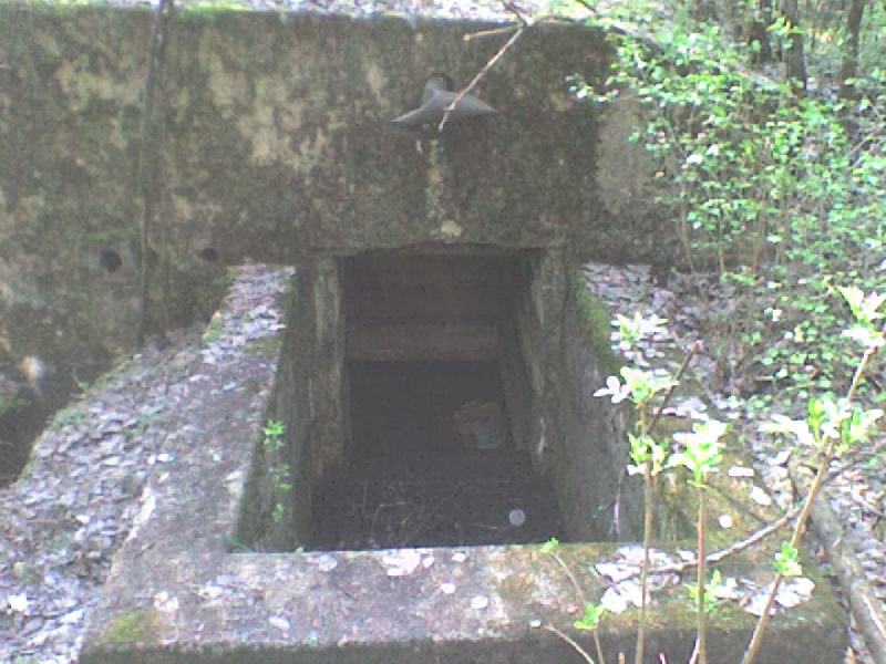 135915dsc00401