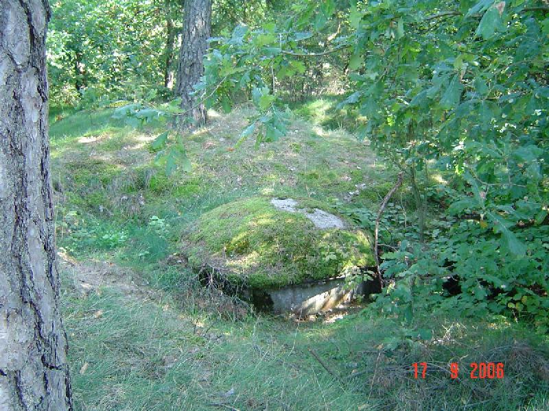 dsc01966