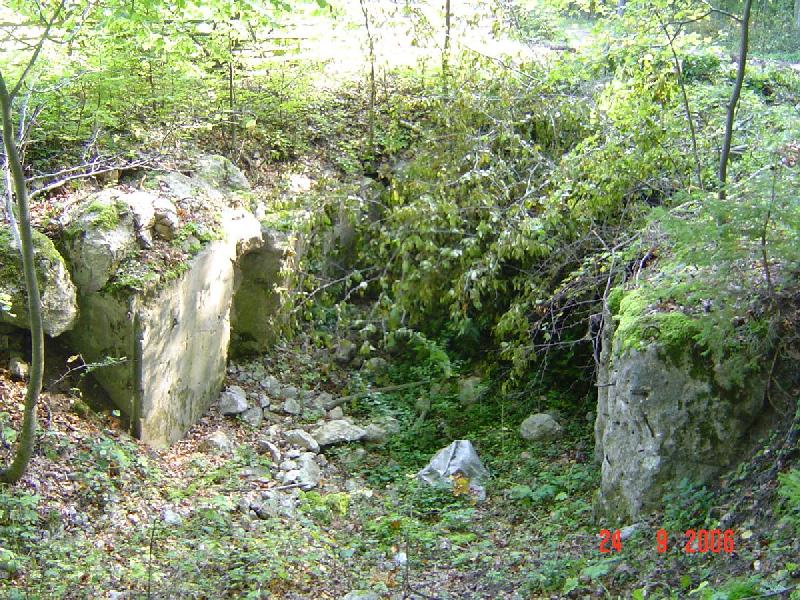 dsc02016