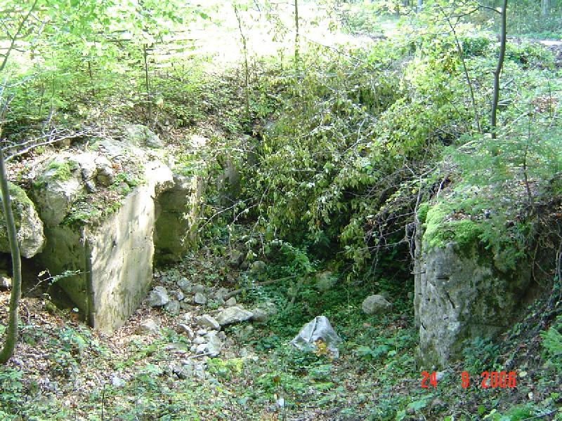 dsc02017