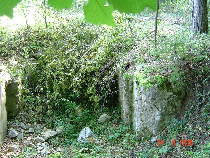 dsc02019