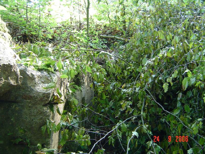 dsc02020