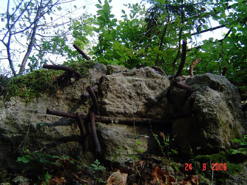 dsc02021