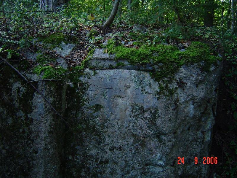 dsc02023