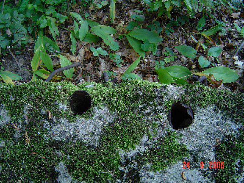 dsc02024
