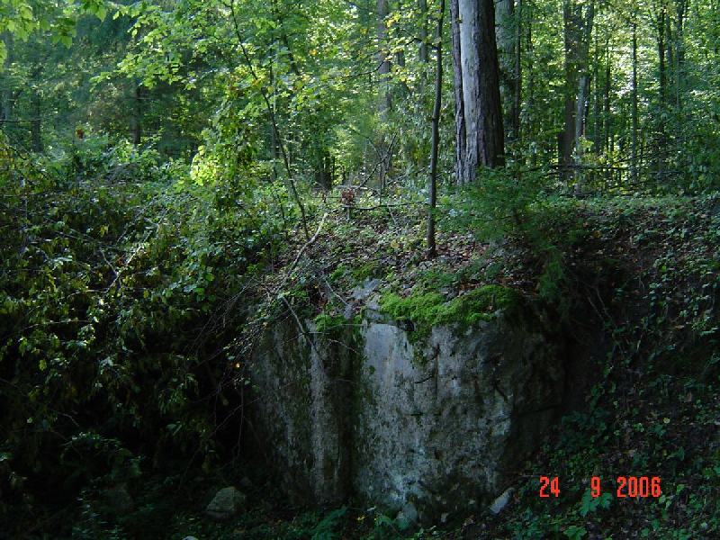 dsc02025