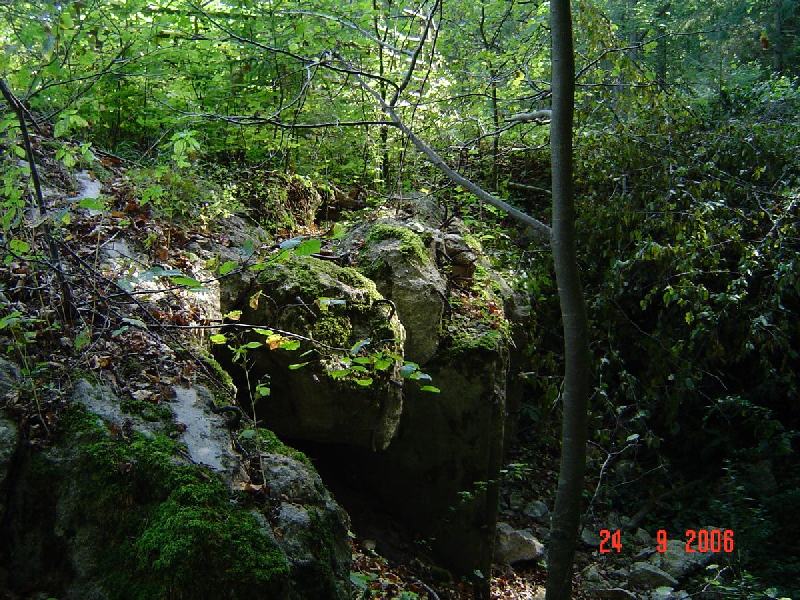 dsc02026