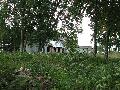 img 3348 img 3348