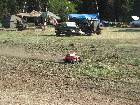 IMG 6769