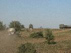 IMG 6808 IMG 6808