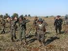 IMG 6856 IMG 6856