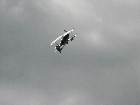 IMG 7356 IMG 7356