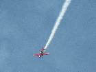 IMG 7391 IMG 7391
