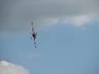 IMG 7430 IMG 7430