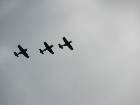 IMG 7575 IMG 7575