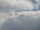 IMG 7608 IMG 7608