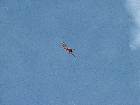 IMG 7641 IMG 7641