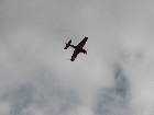 IMG 7654 IMG 7654
