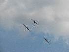 IMG 7661 IMG 7661