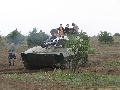IMG 0338 IMG 0338