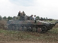 IMG 0343 IMG 0343