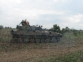 IMG 0345 IMG 0345