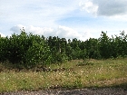 img 0850 img 0850
