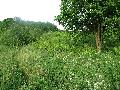 img 0063