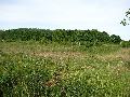 img 0098 img 0098