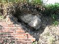 img 0113 img 0113