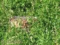 img 0117 img 0117