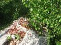 img 0121 img 0121