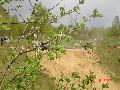 dsc02429 dsc02429