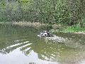 img 2993 img 2993