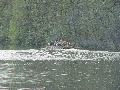 img 3071 img 3071