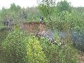 img 3119