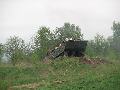 img 3123 img 3123