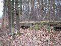 img 2782 img 2782