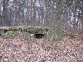img 2783 img 2783