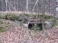 img 2785 img 2785