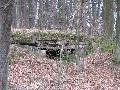 img 2786 img 2786