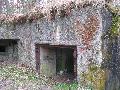 img 2791 img 2791