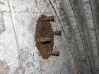 img 3297 img 3297