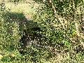 img 1706 img 1706