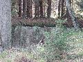 img 1727 img 1727